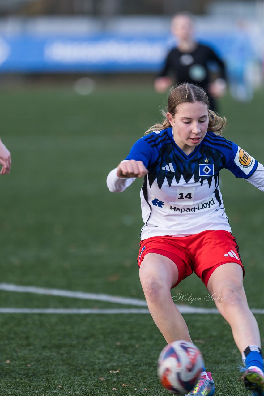 Bild 364 - wBJ Hamburger SV - Holstein Kiel : Ergebnis: 8:0